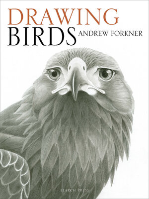 cover image of Drawing Birds
